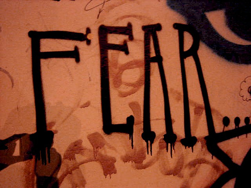 "Fear" by WIlderdom from Flickr